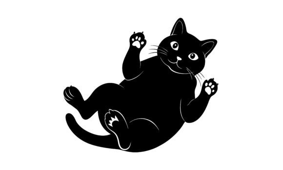 Black Cat Lying on Its Back