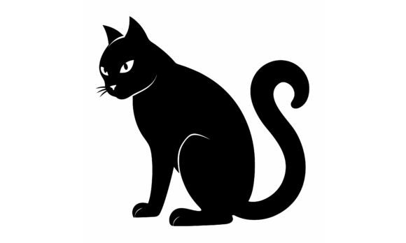 Black Cat Sitting Isolated Review