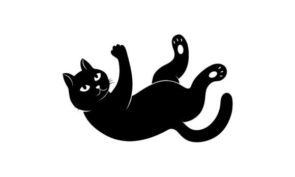 Playful Black Cat Lying on Back Review