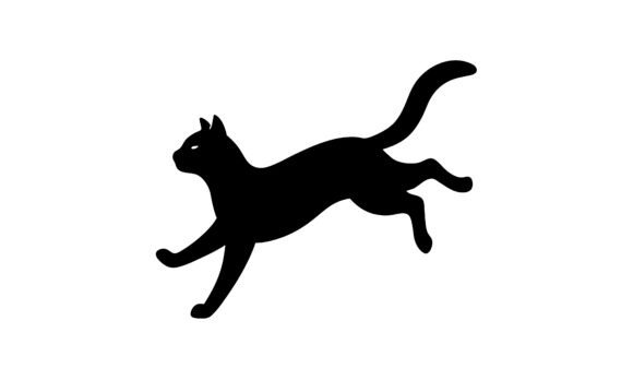 Silhouette of a Jumping Black Cat: A Designer's Review