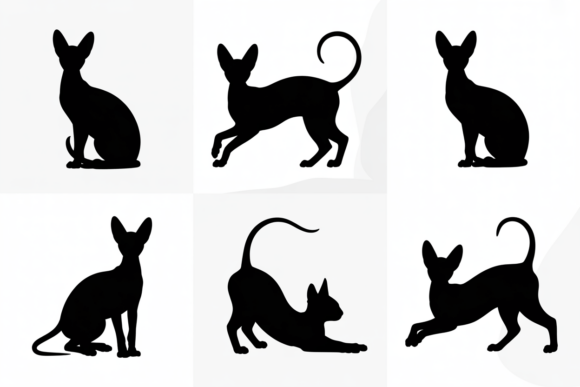 Silhouettes of Graceful Sphynx Cat Poses Review